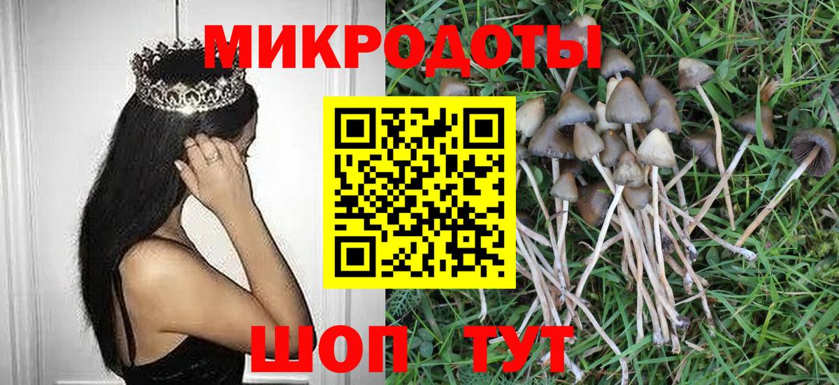 Галлюциногенные грибы Magic Shrooms Видное